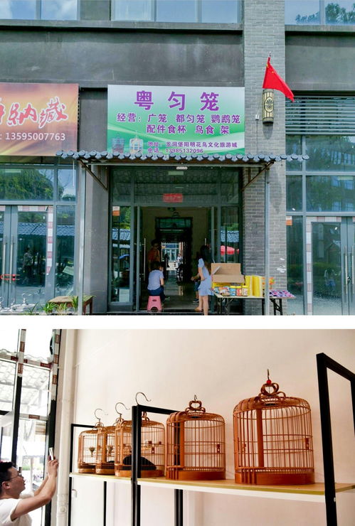 陽(yáng)明花鳥(niǎo)文旅城鳥(niǎo)具業(yè)態(tài)區(qū)黃金旺鋪 邀您共享商機(jī) 錢 景