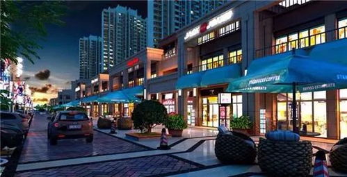 安陽想把日子過成詩(shī),鎖定 東府全臨街商鋪