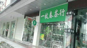 黃山路精裝修旺鋪急轉，毗鄰中科大第四醫院，理想精品水果店選址